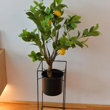Hm Apartment