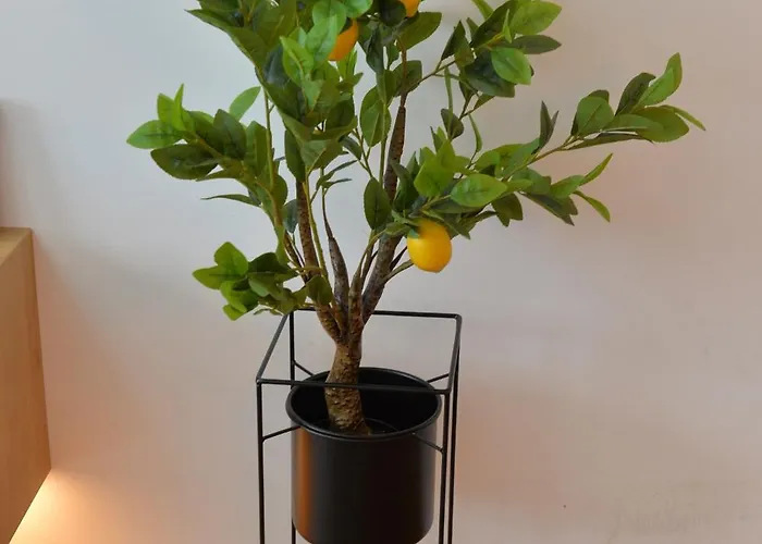 Hm Διαμέρισμα